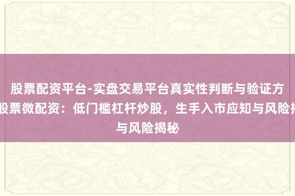 股票配资平台-实盘交易平台真实性判断与验证方法 股票微配资：低门槛杠杆炒股，生手入市应知与风险揭秘